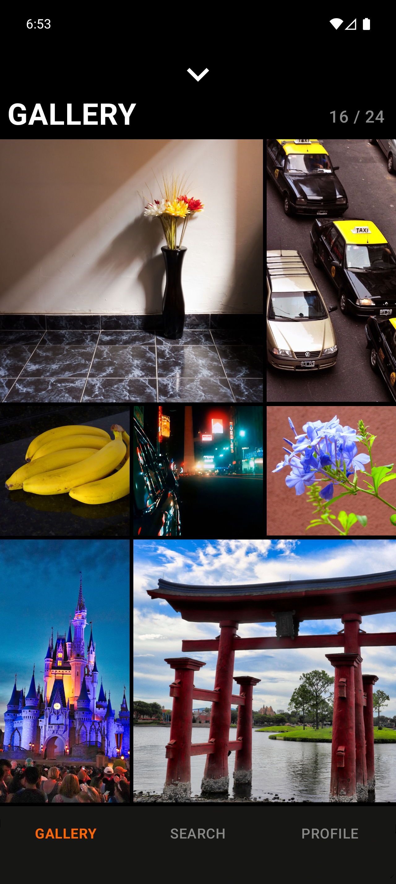 Realpic gallery screenshot
